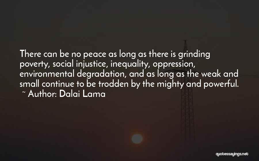 Social Injustice Quotes By Dalai Lama