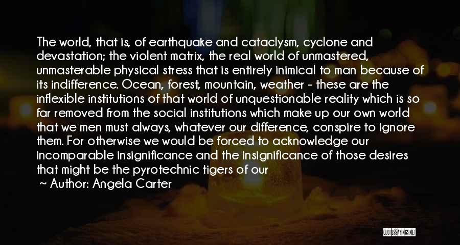 Social Institutions Quotes By Angela Carter