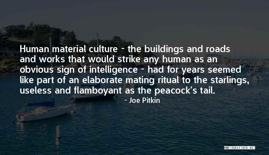 Social Intelligence Quotes By Joe Pitkin Social Intelligence Quotes By Joe Pitkin