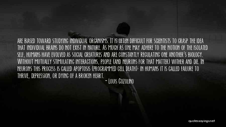 Social Interactions Quotes By Louis Cozolino