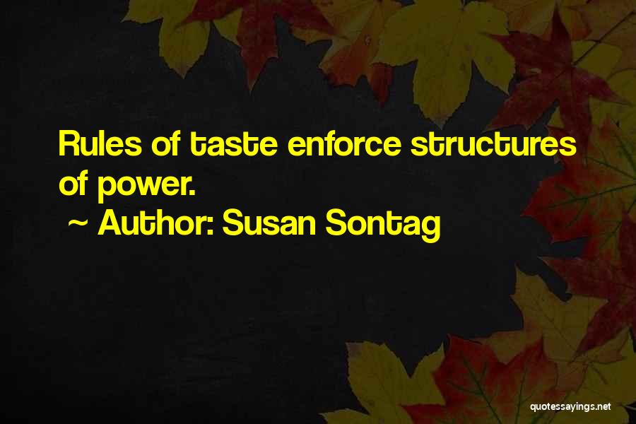 Social Justice Power Quotes By Susan Sontag