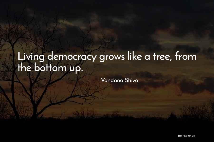 Social Justice Quotes By Vandana Shiva