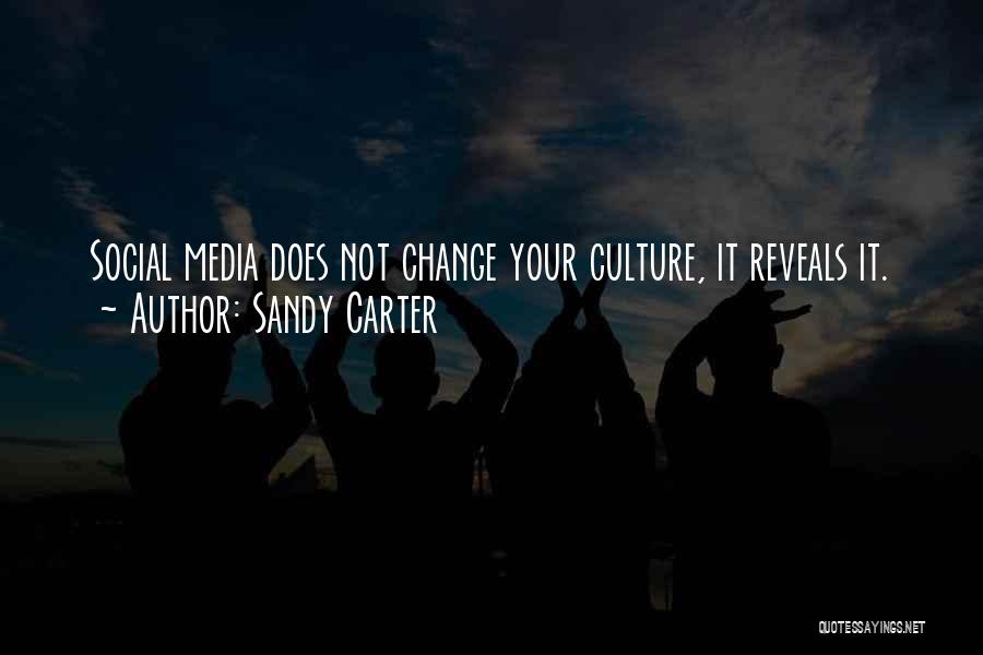 Social Media Change Quotes By Sandy Carter