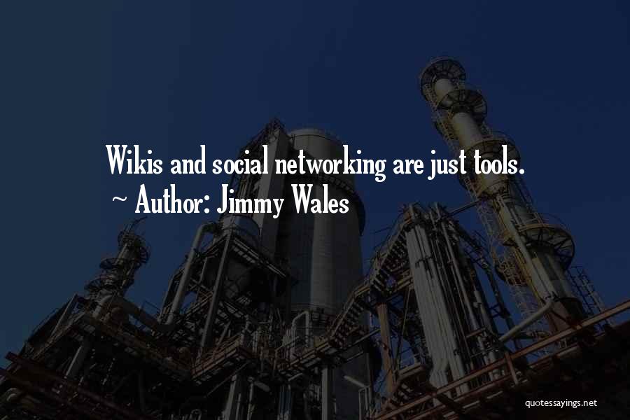 Social Networking Quotes By Jimmy Wales