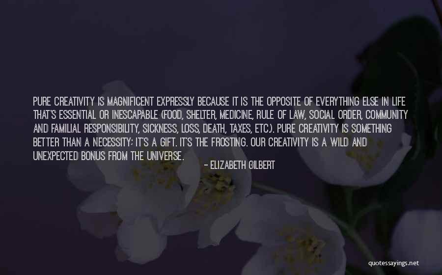 Social Order Quotes By Elizabeth Gilbert