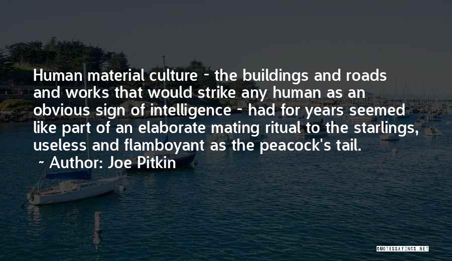 Social Perspective Quotes By Joe Pitkin