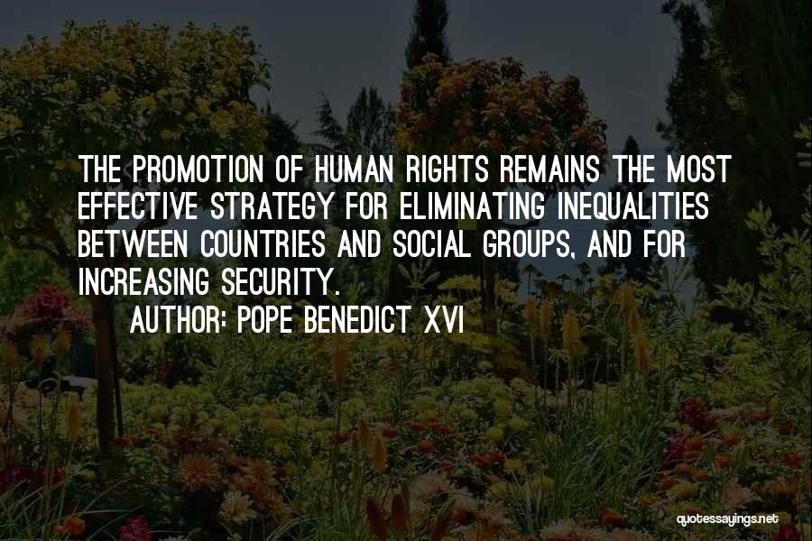 Social Promotion Quotes By Pope Benedict XVI