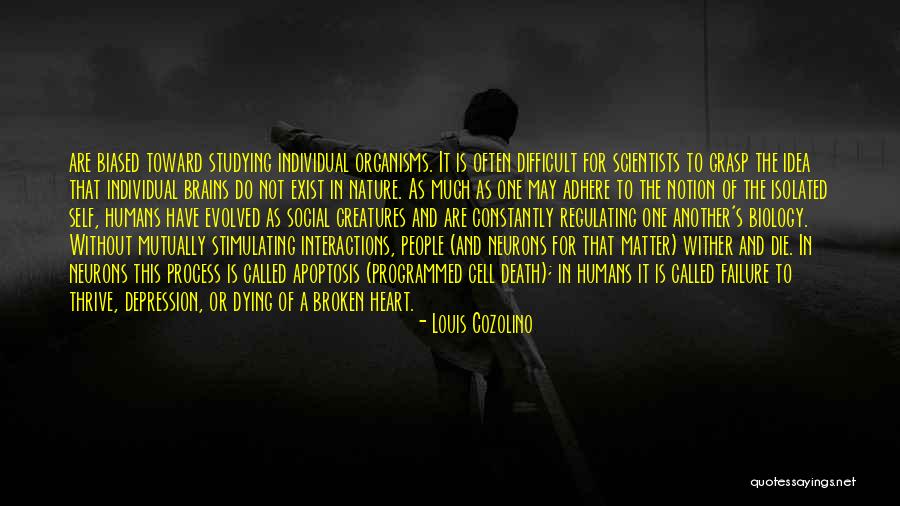 Social Scientists Quotes By Louis Cozolino