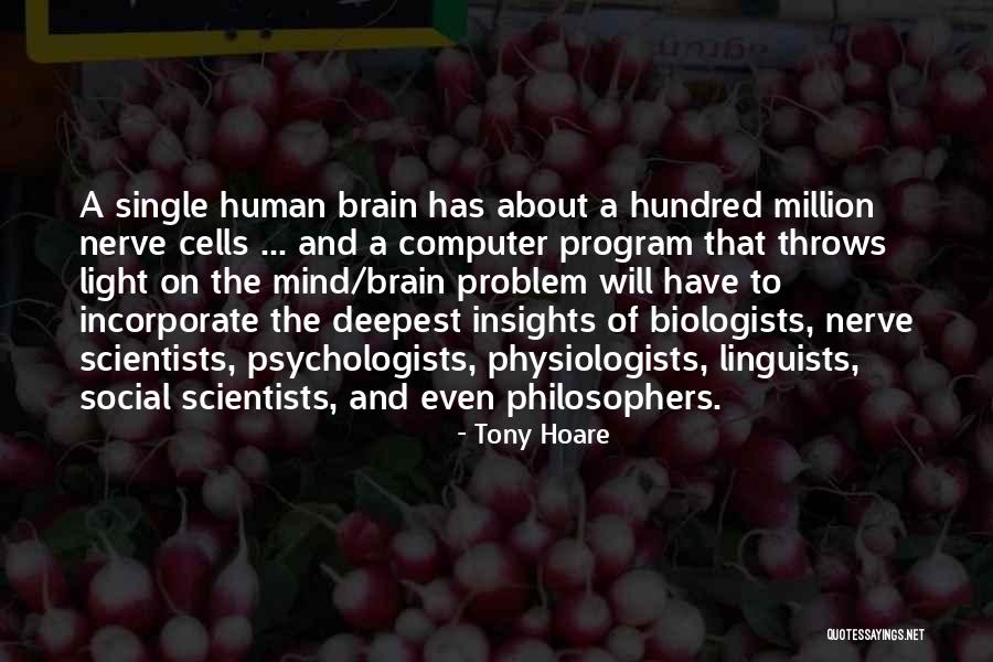 Social Scientists Quotes By Tony Hoare