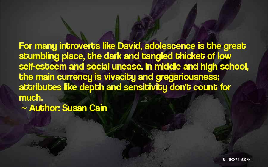 Social Sensitivity Quotes By Susan Cain