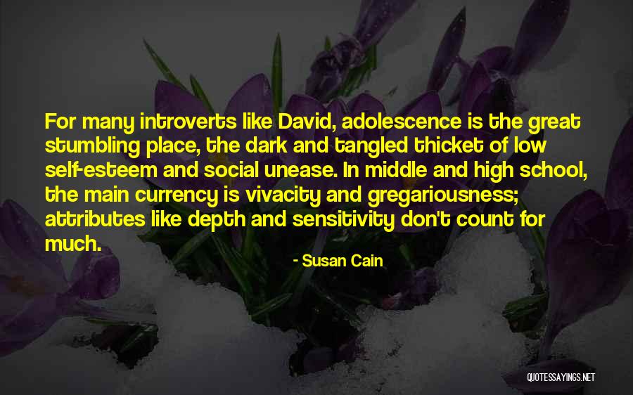 Social Sensitivity Quotes By Susan Cain