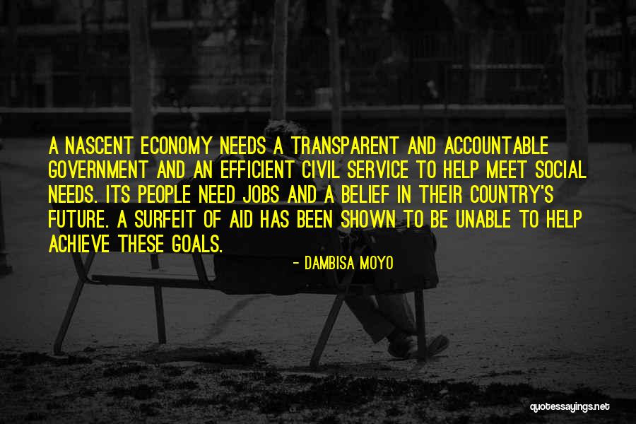 Social Service Quotes By Dambisa Moyo Social Service Quotes By Dambisa Moyo