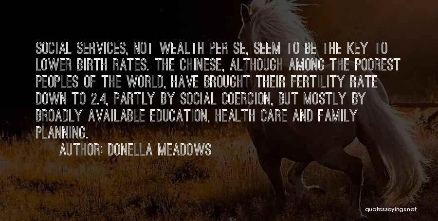 Social Services Quotes By Donella Meadows