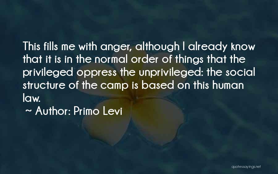 Social Structure Quotes By Primo Levi