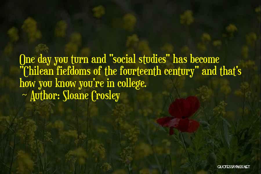 Social Studies Quotes By Sloane Crosley