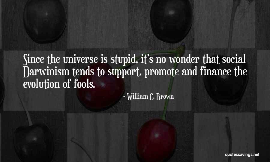 Social Support Quotes By William C. Brown Social Support Quotes By William C. Brown