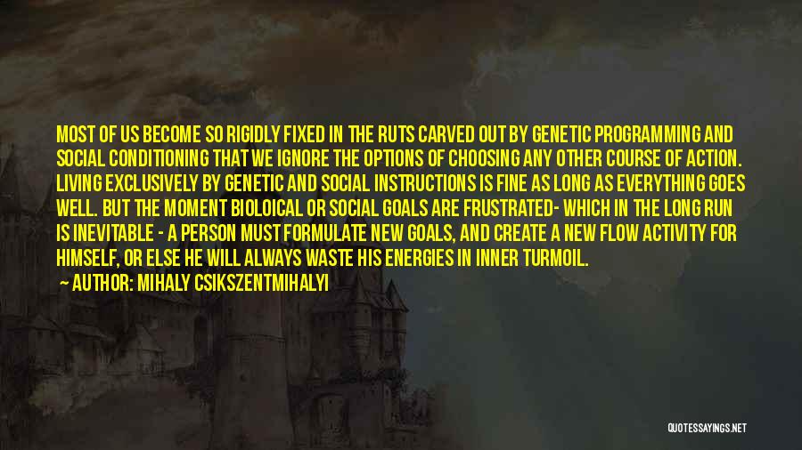 Social Turmoil Quotes By Mihaly Csikszentmihalyi