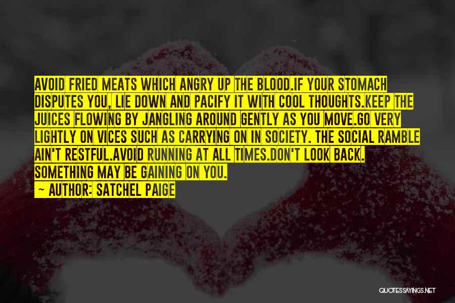 Social Vices Quotes By Satchel Paige