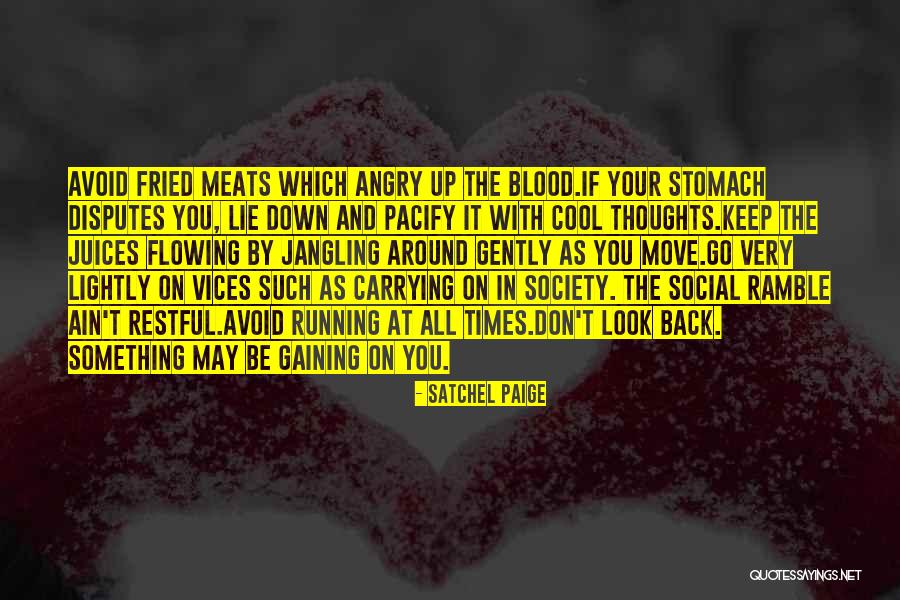 Social Vices Quotes By Satchel Paige