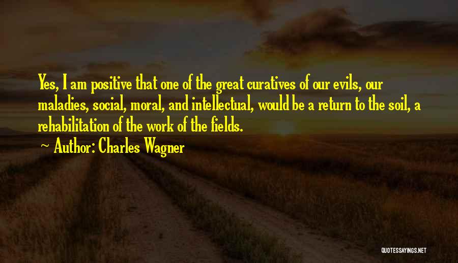 Social Work Positive Quotes By Charles Wagner