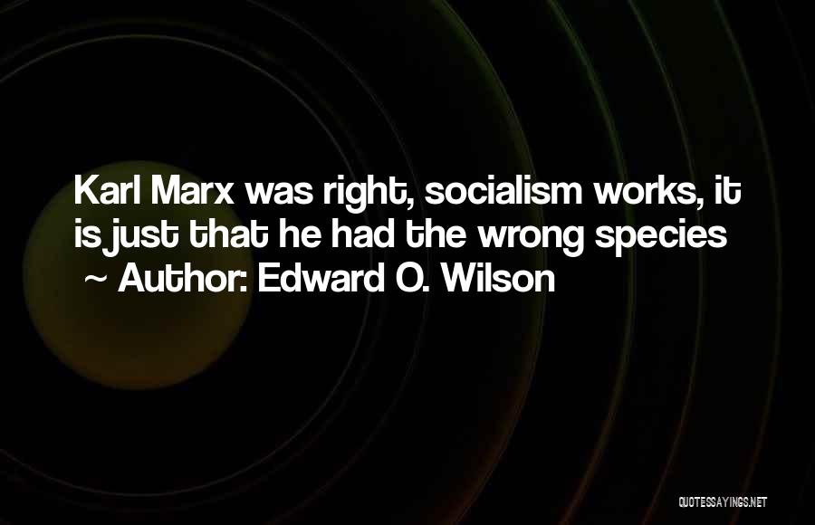 Socialism Quotes By Edward O. Wilson