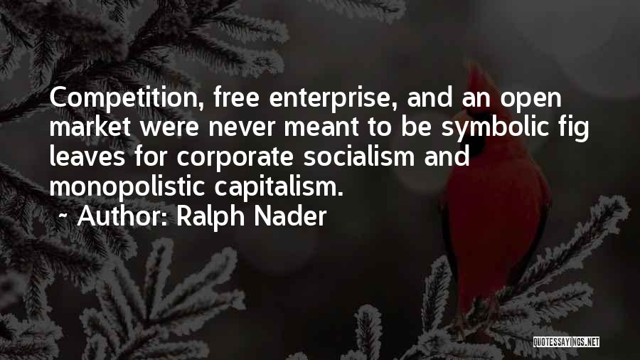 Socialism Vs Capitalism Quotes By Ralph Nader