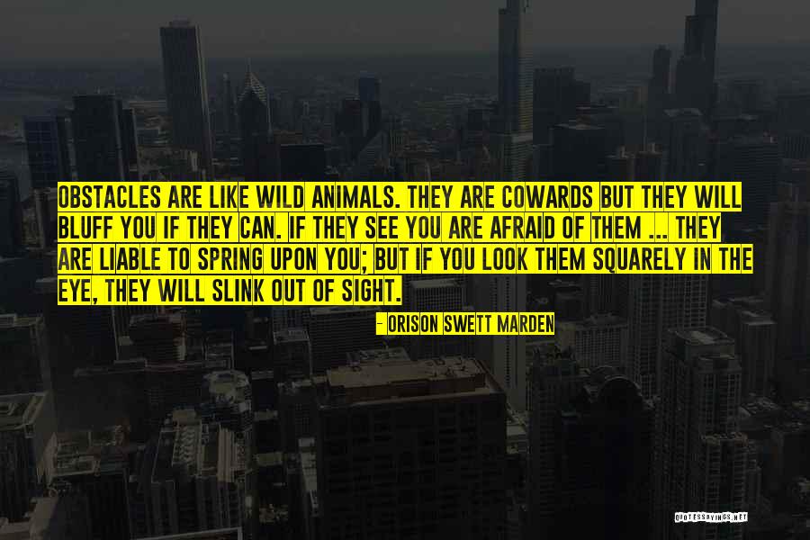 Socialismo Quotes By Orison Swett Marden Socialismo Quotes By Orison Swett Marden