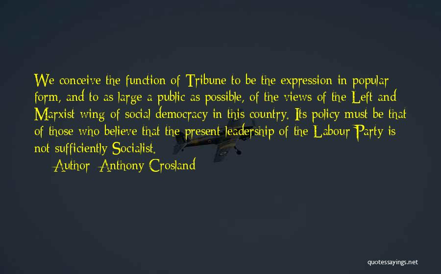 Socialist Party Quotes By Anthony Crosland