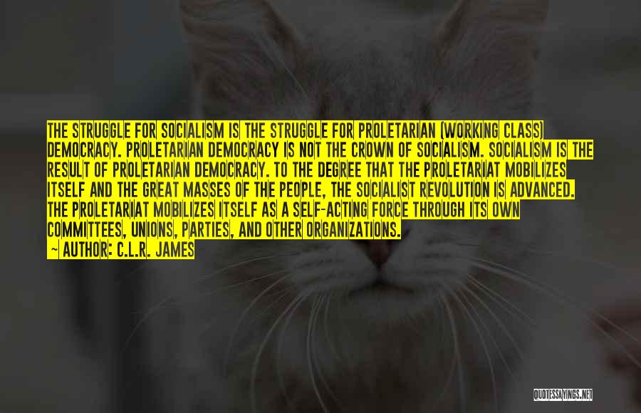 Socialist Party Quotes By C.L.R. James