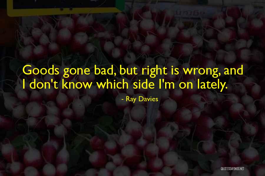 Socialists Beliefs Quotes By Ray Davies Socialists Beliefs Quotes By Ray Davies