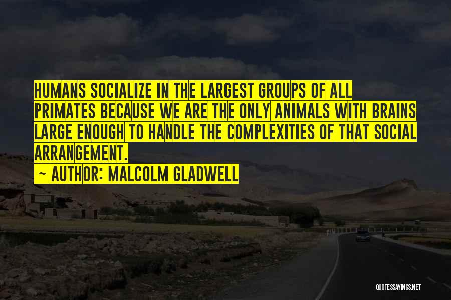 Socialize Quotes By Malcolm Gladwell