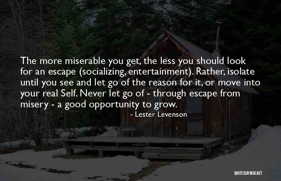 Socializing Quotes By Lester Levenson Socializing Quotes By Lester Levenson