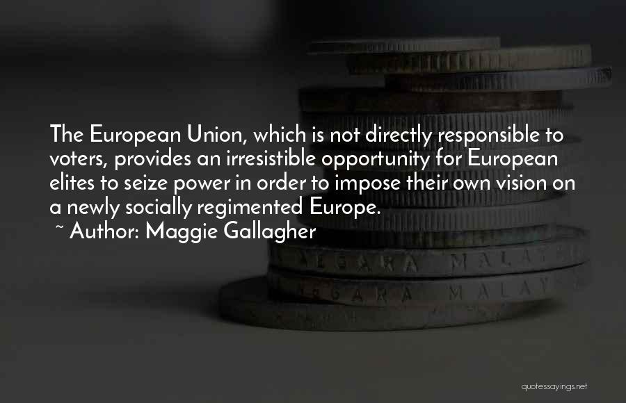 Socially Responsible Quotes By Maggie Gallagher