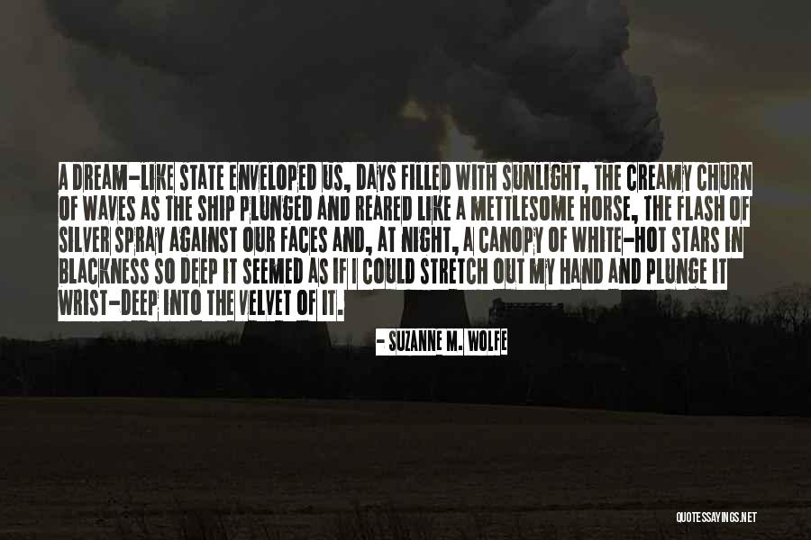 Sociaux Educatif Quotes By Suzanne M. Wolfe Sociaux Educatif Quotes By Suzanne M. Wolfe