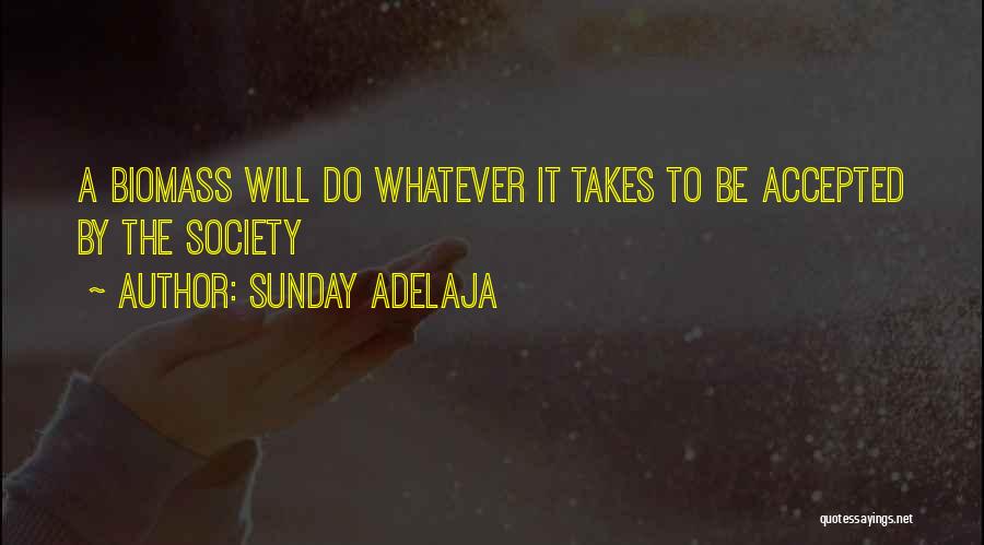 Society Acceptance Quotes By Sunday Adelaja
