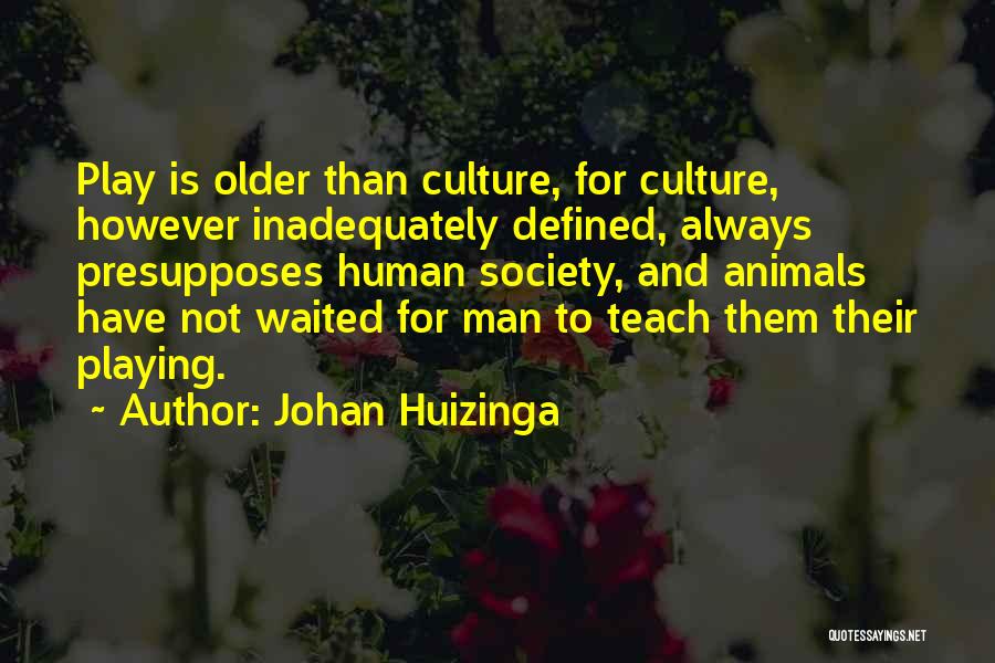 Society And Culture Quotes By Johan Huizinga