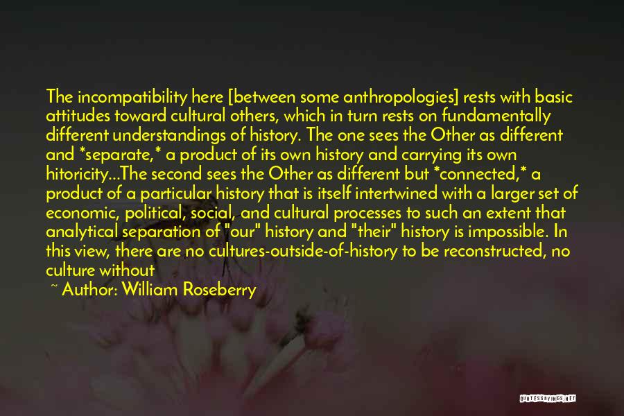 Society And Culture Quotes By William Roseberry