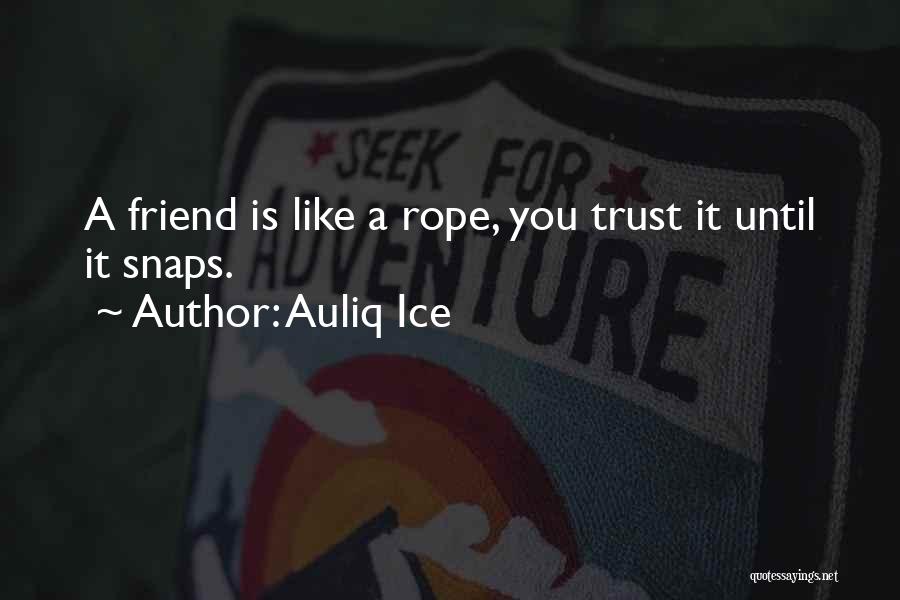 Society And Identity Quotes By Auliq Ice