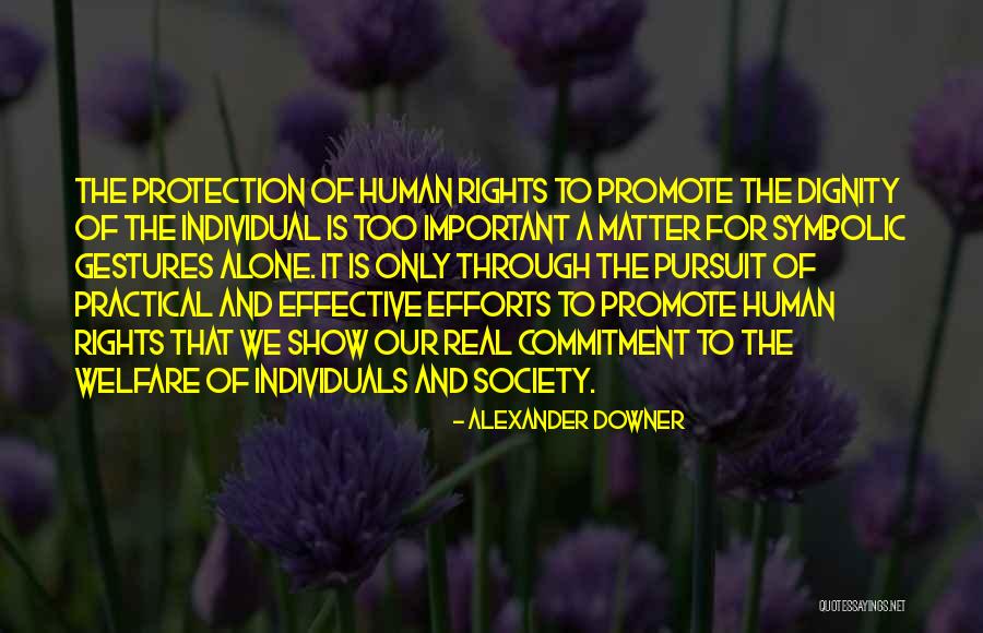 Society And Individual Quotes By Alexander Downer