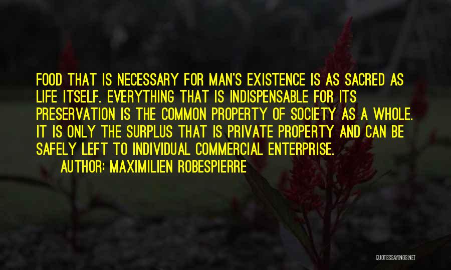 Society And Individual Quotes By Maximilien Robespierre