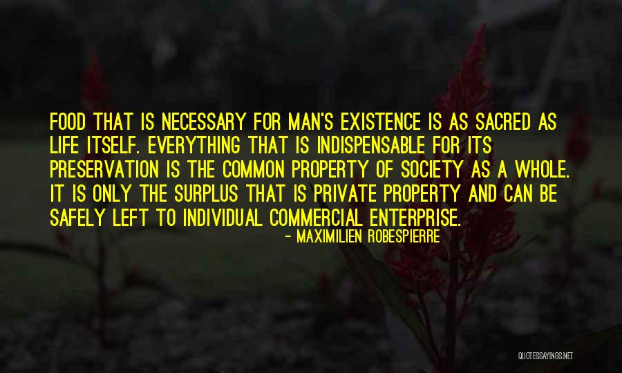 Society And Individual Quotes By Maximilien Robespierre