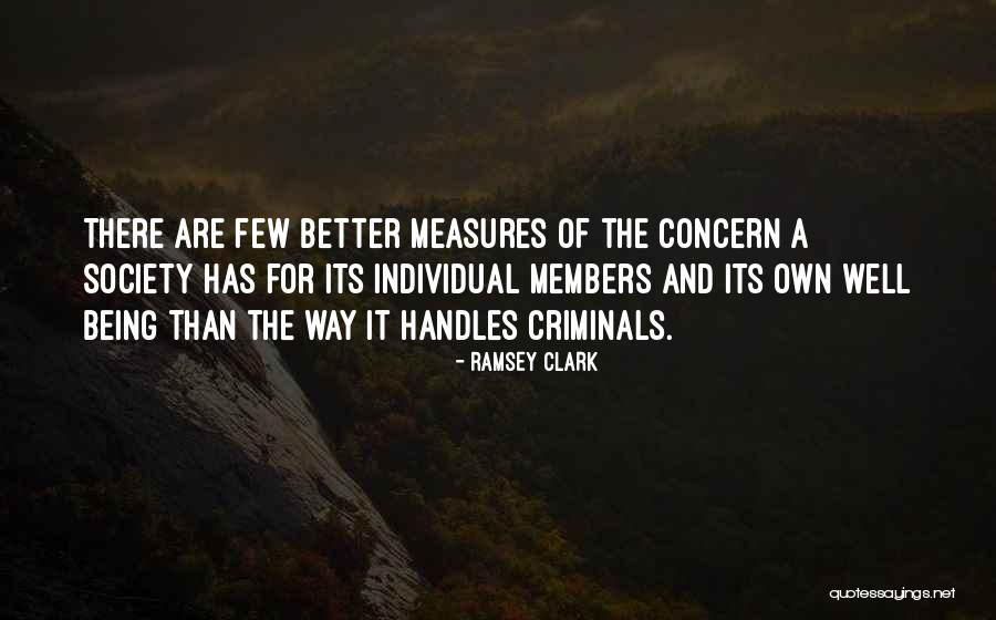 Society And Individual Quotes By Ramsey Clark