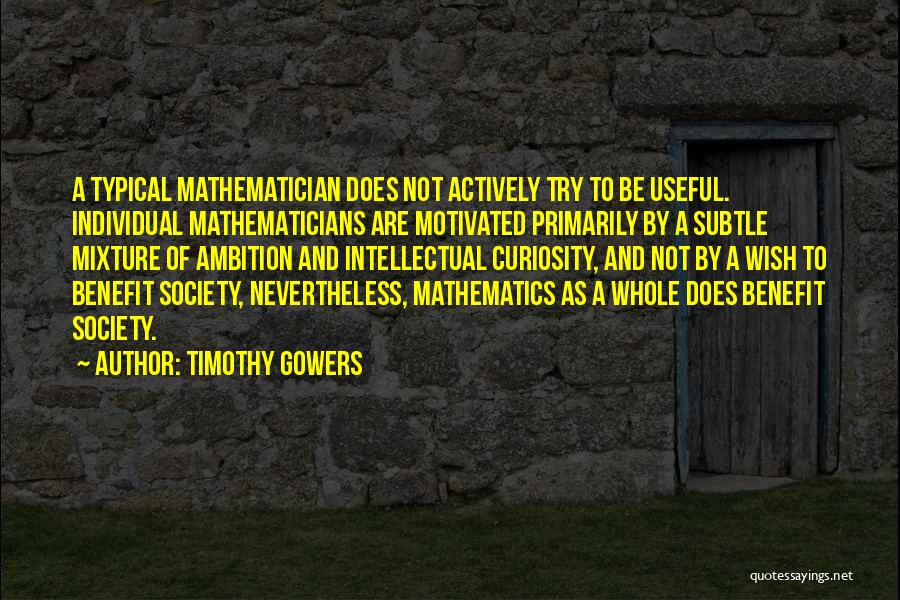 Society And Individual Quotes By Timothy Gowers