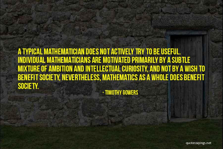 Society And Individual Quotes By Timothy Gowers