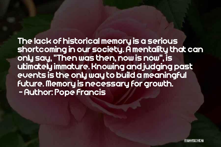 Society And Judging Quotes By Pope Francis