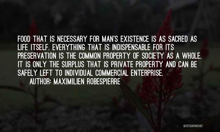 Society And The Individual Quotes By Maximilien Robespierre