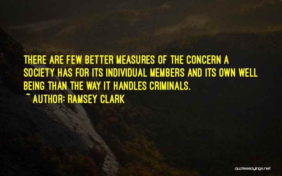 Society And The Individual Quotes By Ramsey Clark