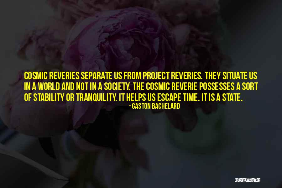 Society And The World Quotes By Gaston Bachelard Society And The World Quotes By Gaston Bachelard
