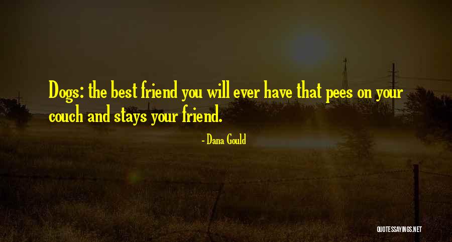 Society Area Quotes By Dana Gould Society Area Quotes By Dana Gould