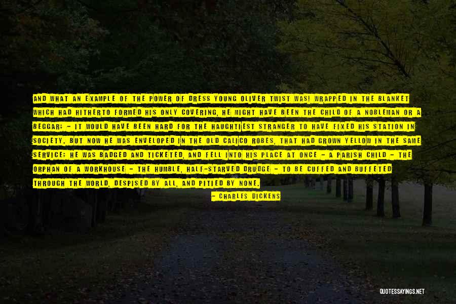 Society In The Stranger Quotes By Charles Dickens